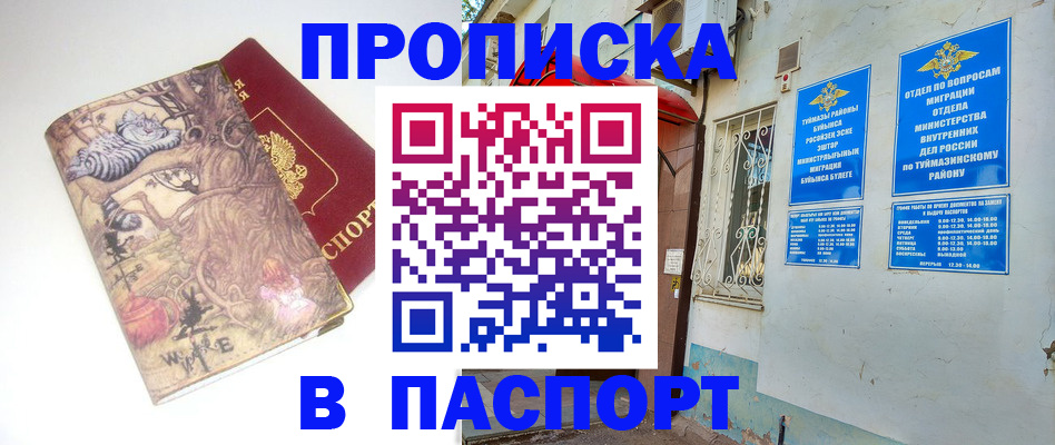 пропишу в квартире в Чистополье